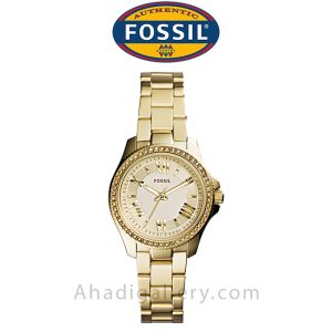 ساعت مچی فسیل مدل AM4577