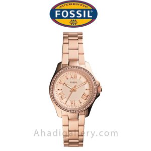 ساعت مچی فسیل مدل AM4578