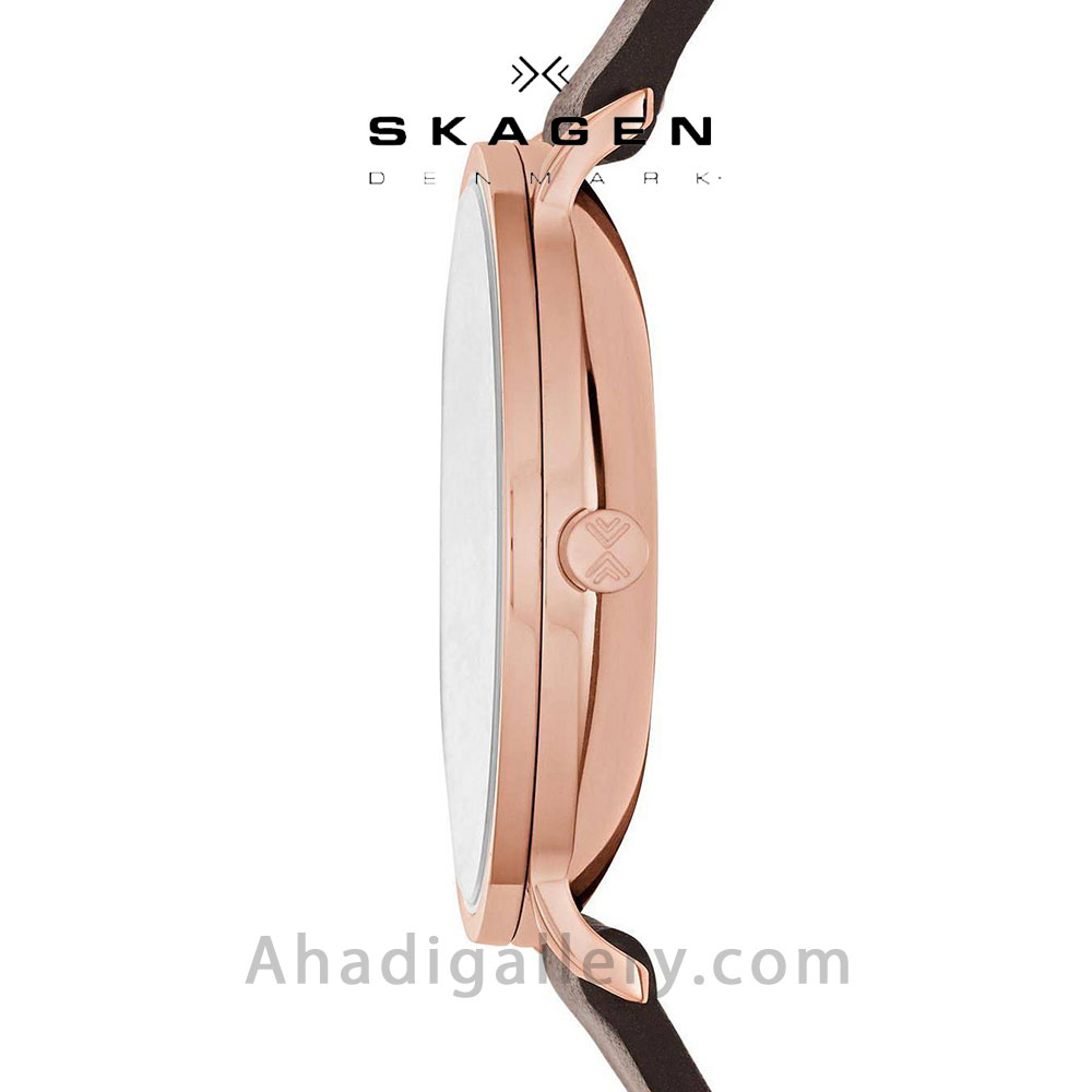 Skagen skw6213 sale