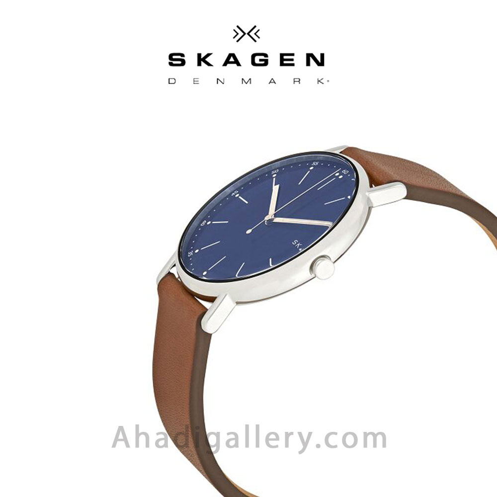Skagen skw6355 best sale
