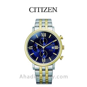 ساعت مچی سیتیزن مدل AN3616-75L