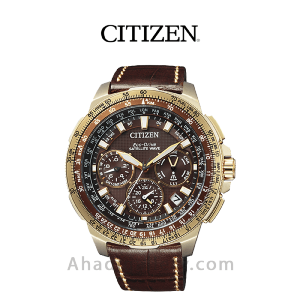 ساعت مچی سیتیزن مدل CC9023-13X