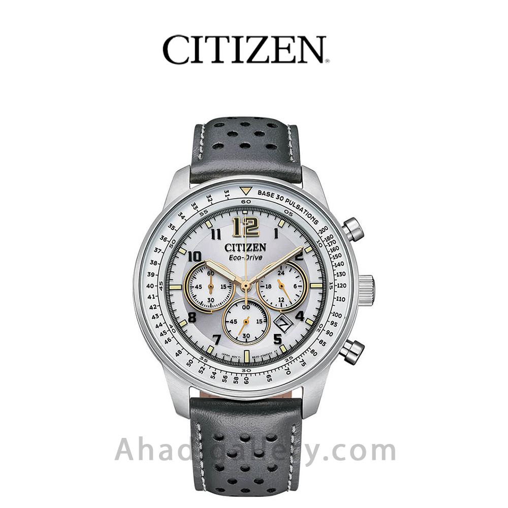 Citizen eco hotsell drive replica