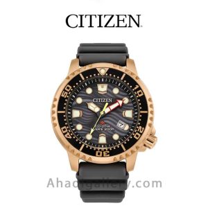 ساعت مچی سیتیزن مدل BN0163-00H