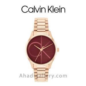 ساعت مچی کلوین کلاین مدل 25200347